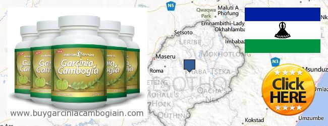 Onde Comprar Garcinia Cambogia Extract on-line Lesotho